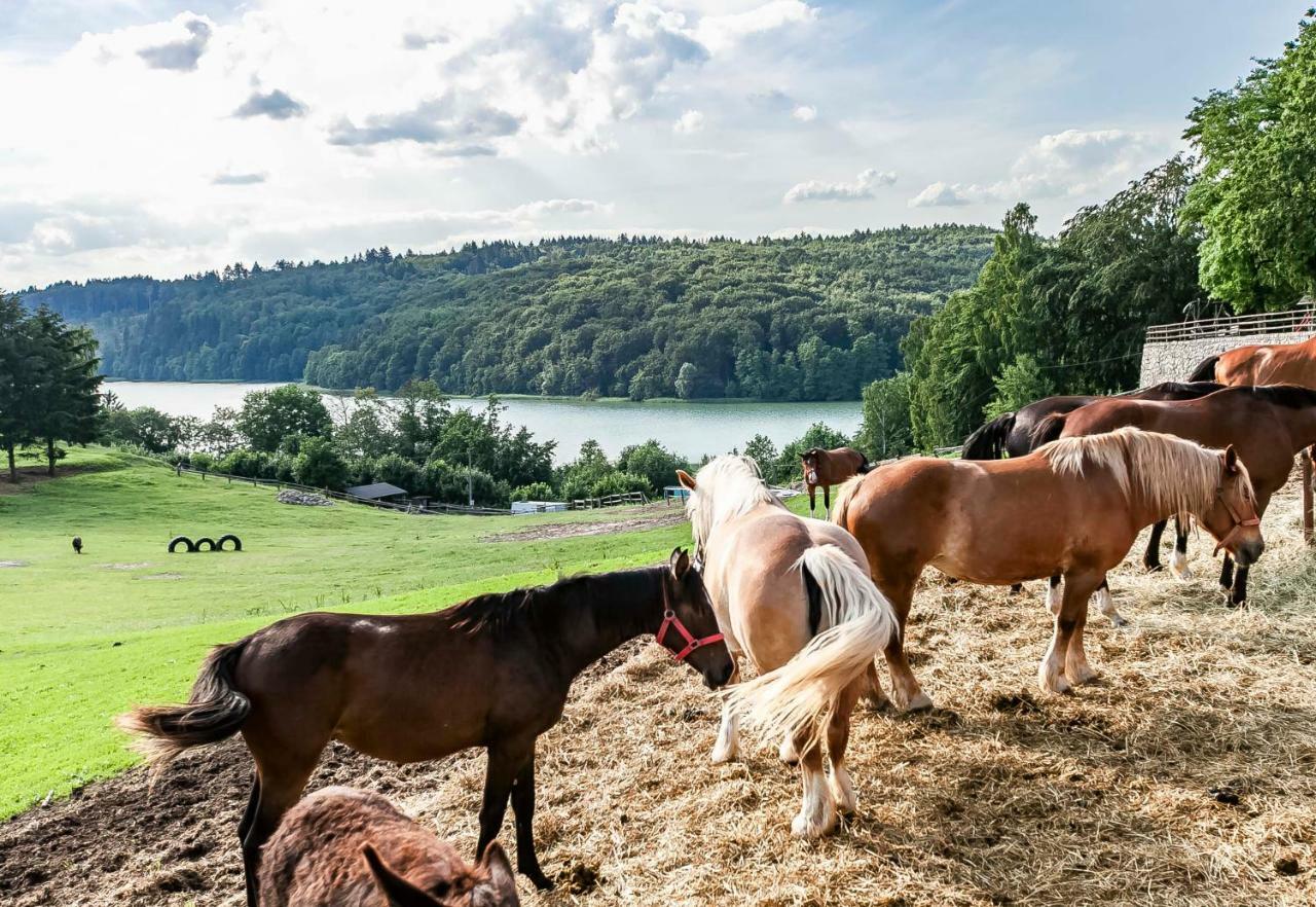 Lesniczowka Wiezyca I Domki Szymbark  Buitenkant foto